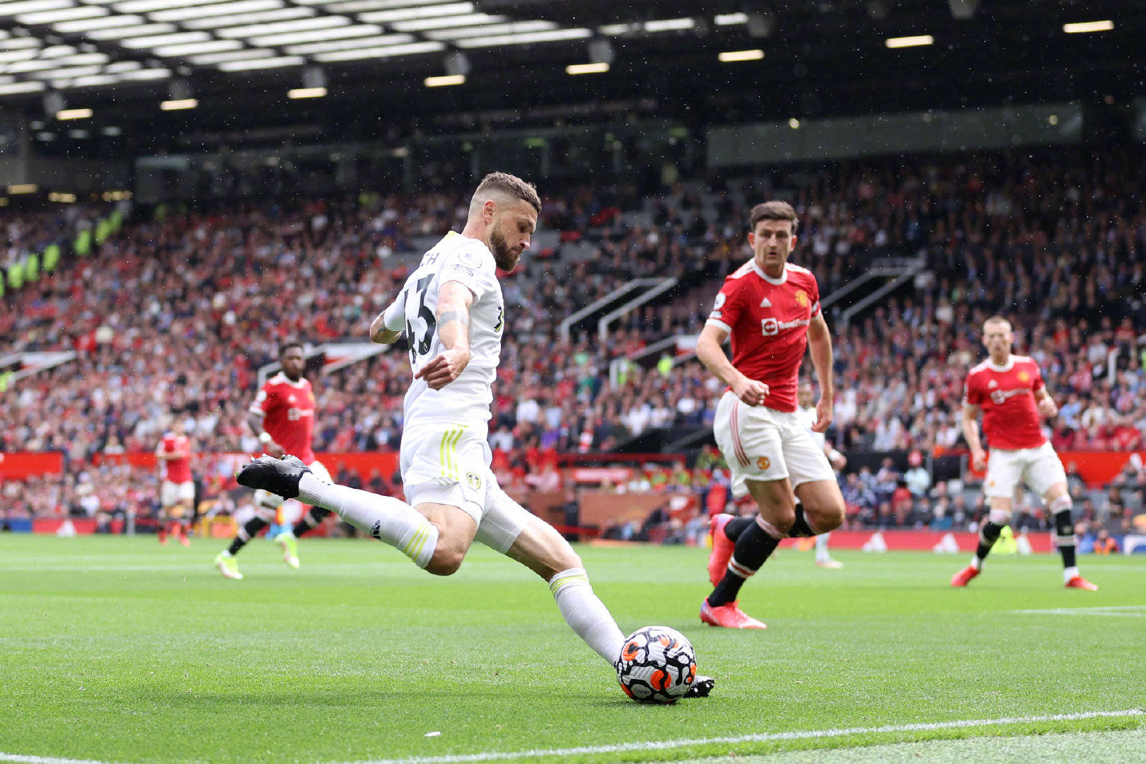 远见为他未 远见为他未