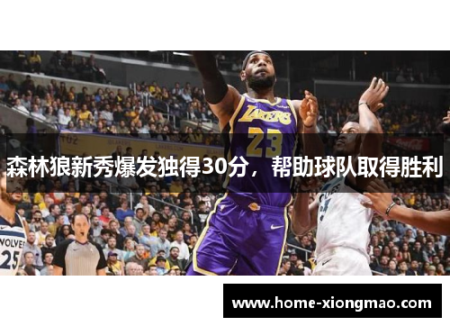 森林狼新秀爆发独得30分,帮助球队取得胜利